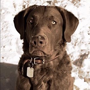 Meet your Posher, Robyn